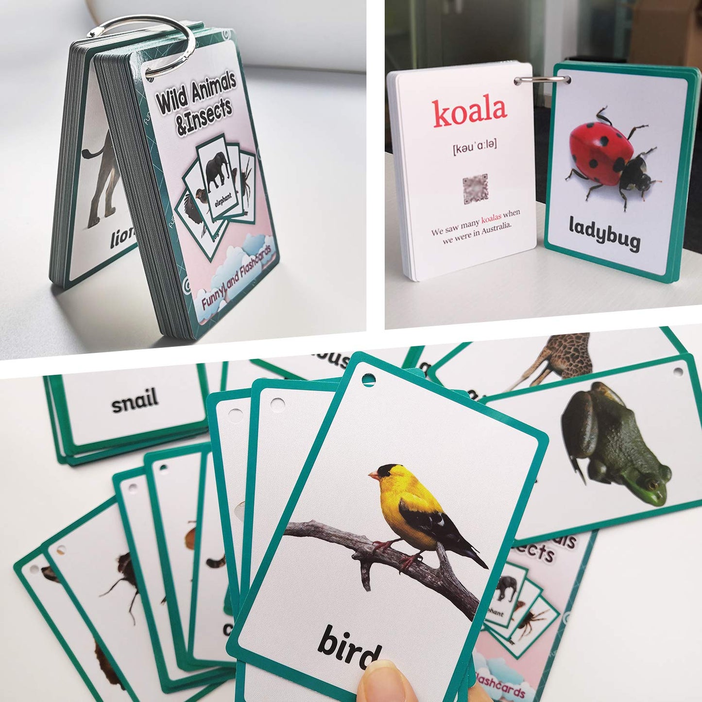 46PCS/Set Wild Animals&Insects Kids Gifts English Flash Cards Pocket Card Educational Learning Baby Toys for Children Pre-Kindergarten