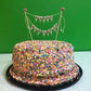 Happy Birthday Cake Topper Cake Topper Garland with Pink Rose