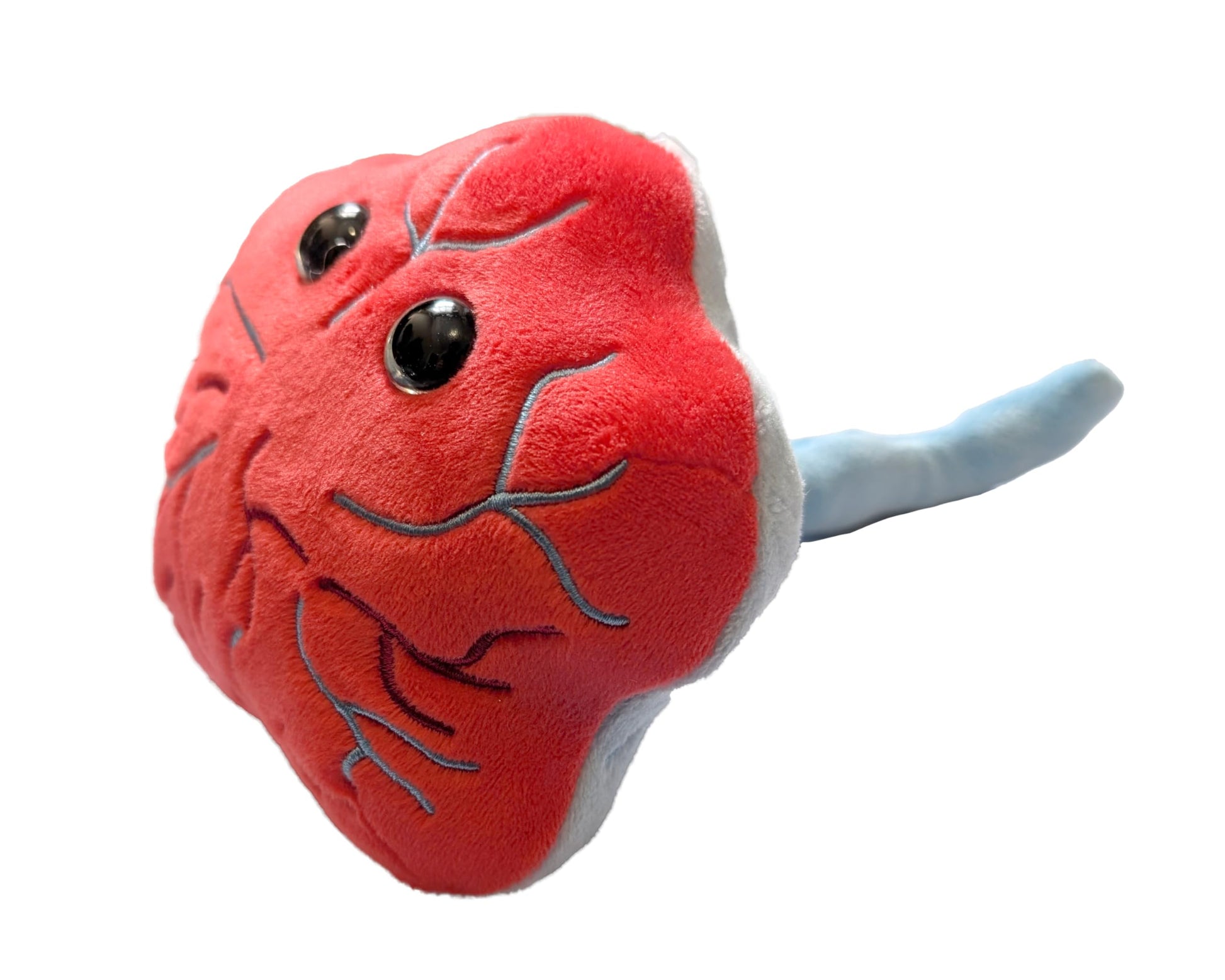 GIANT MICROBES Stuffed Placenta Plush, Uterus Plush, Funny OBGYN Gifts, Labor and Delivery Nurse Gifts, Placenta Model, Biology Models, Postpartum