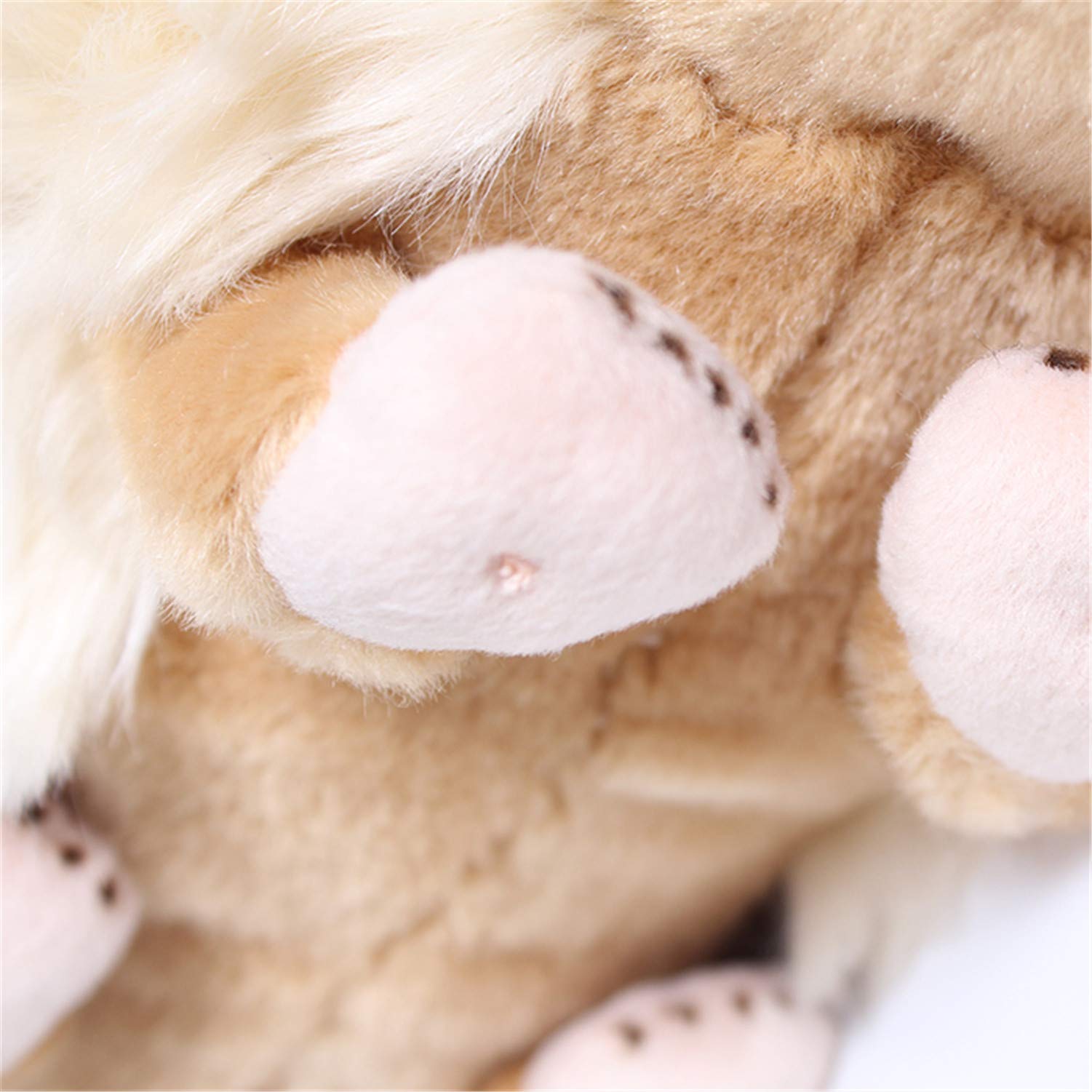 TAMMYFLYFLY Lifelike Hedgehog Plush Stuffed Animal Toy Desert Hedgehog Cute Animal Model (6 inches) (6 in(Pack of 1))