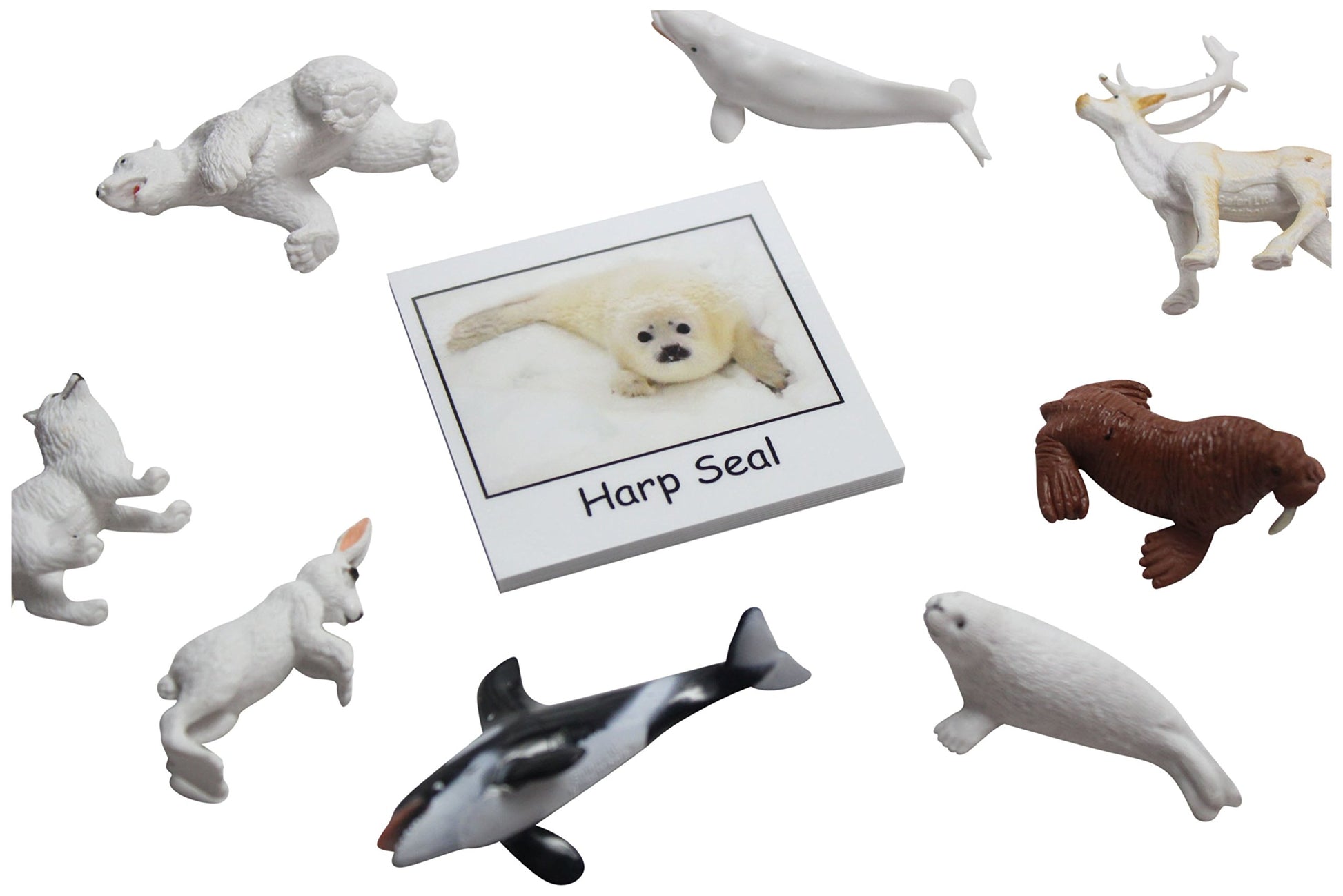 Montessori Arctic Polar Animal Match - Miniature Arctic Animal Toy Figurines with Matching Cards - 2 Part Cards. Montessori Learning Toy, Language