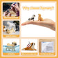 Toymany 12PCS Mini Dog Figurines Playset, Realistic Detailed Plastic Puppy Figures, Hand Painted Emulational Tiny Dogs Animals Toy Set, Cake Toppers