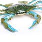Safari Ltd. Blue Crab Figurine - Realistic 7" Model Figure - Educational Toy for Boys, Girls, and Kids Ages 18M+
