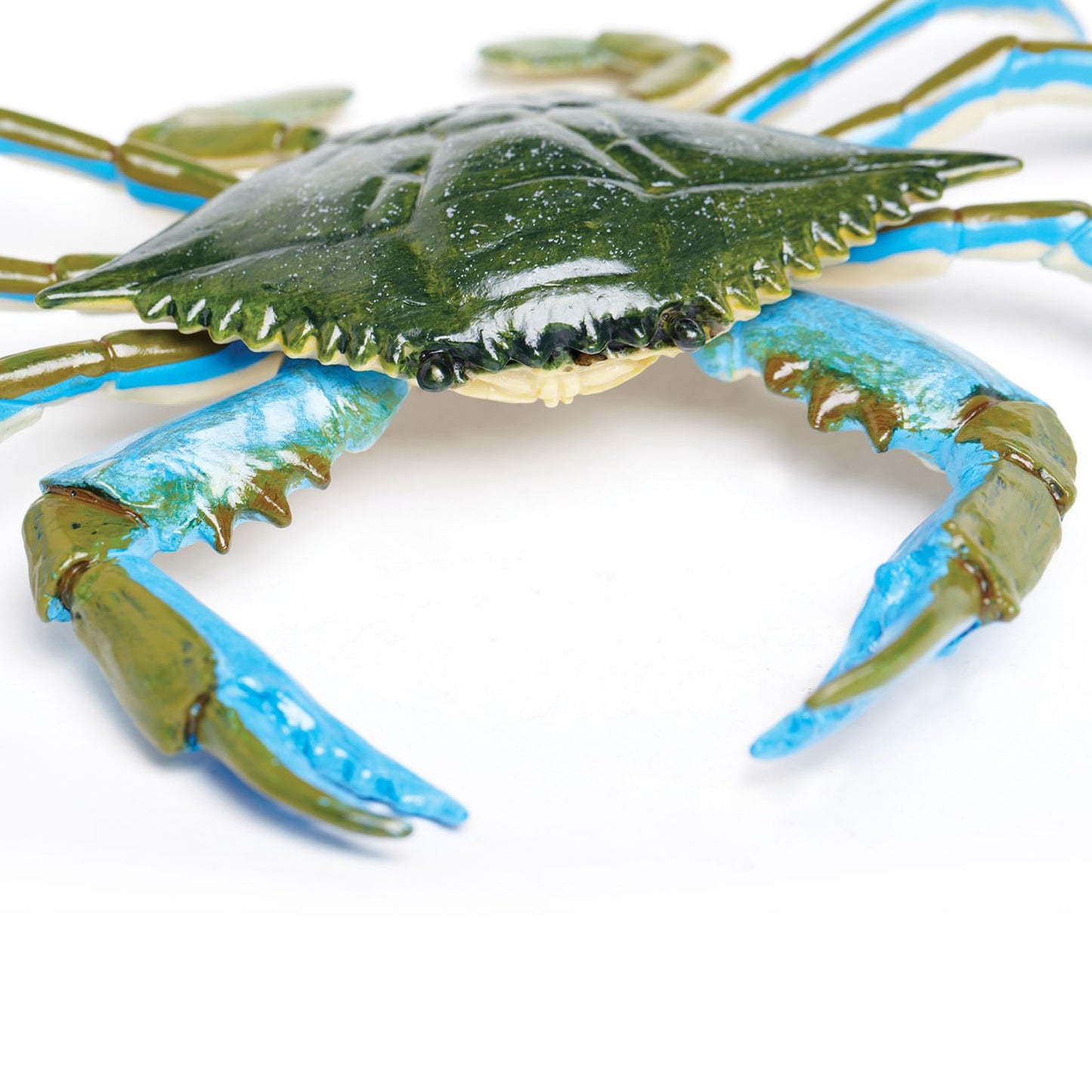 Safari Ltd. Blue Crab Figurine - Realistic 7" Model Figure - Educational Toy for Boys, Girls, and Kids Ages 18M+