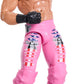 WWE Elite Action Figure SummerSlam Dolph Ziggler with Accessory and Mr. Perfect Build-A-Figure Parts