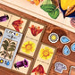 Gartenbau, Strategy Board Game Gardening in The 19th Century, Historical Art, Mensa Select Winner - 25th Century Games