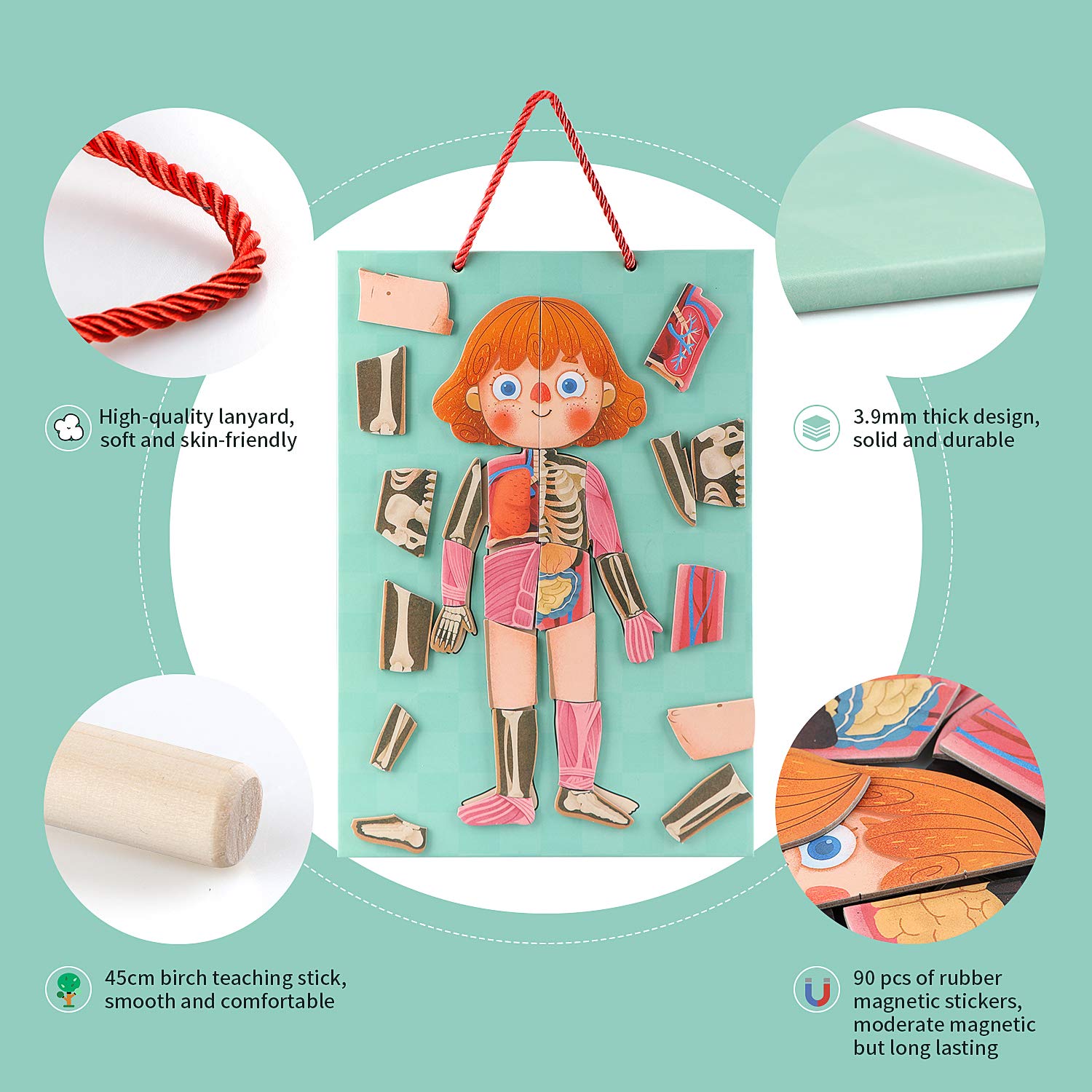 Human Body Puzzle for Kids Toddlers 90PCS Magnetic Boy Girl Anatomy Play Set Body Parts Organs Muscles Skeleton and Bones Wooden Puzzle Toys Aged 3+