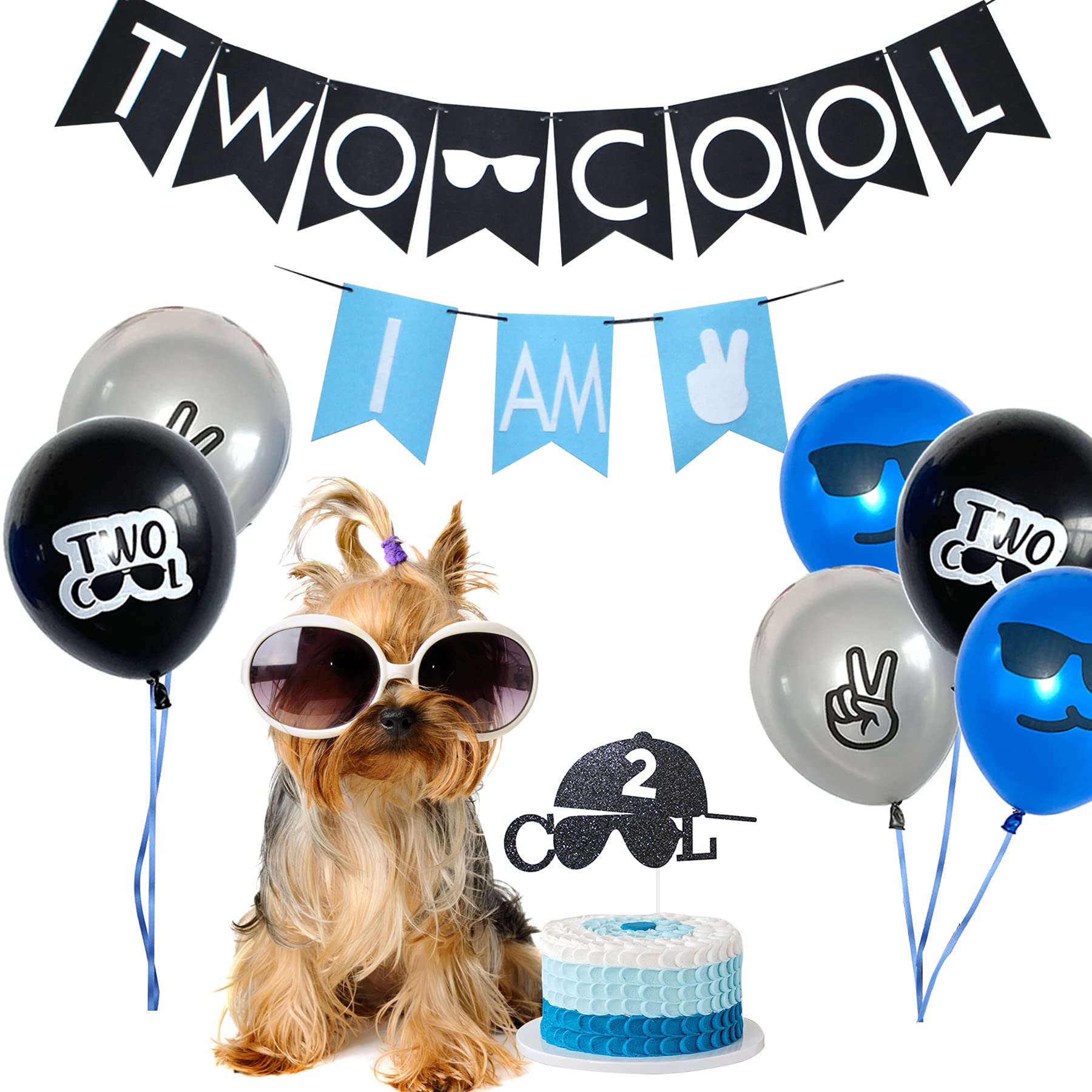 Two Cool Birthday Party Decorations & Supplies - I AM TWO Banner, Balloons, Cake Topper for Little Man's 2nd Birthday