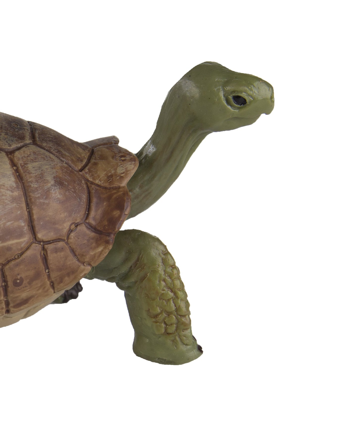 Safari Ltd. Giant Tortoise Figurine - Lifelike 3" Figure - Educational Toy for Boys, Girls, and Kids Ages 3+