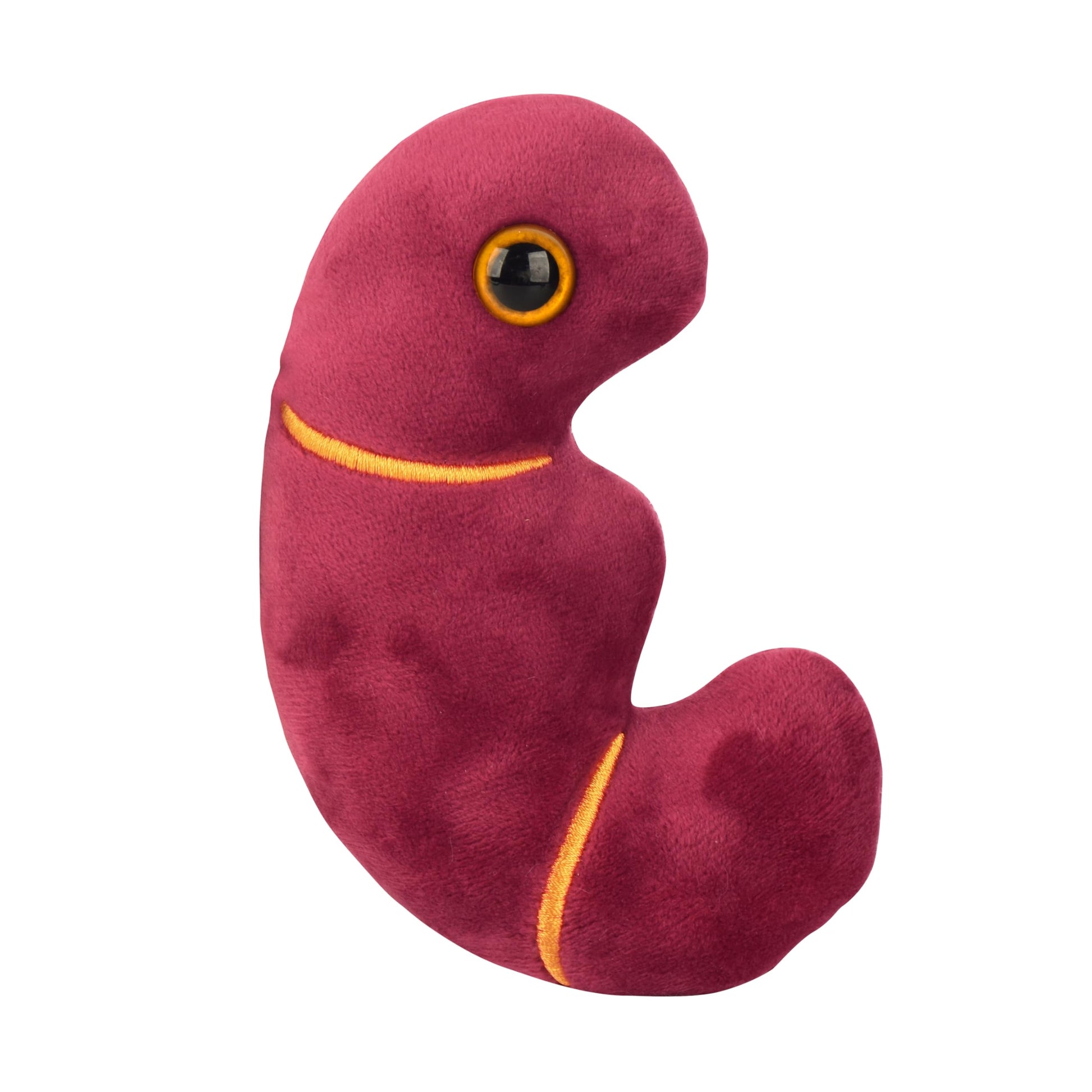 GIANT MICROBES Stuffed Kidney Plush Toy, Kidney Transplant Gifts, Nephrology Gift, Best Gifts for Dialysis Patients, Organ Plushies, Urology Gift