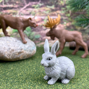 Safari Ltd Nature TOOB - 12 Mini Figurines with Rabbit, Beaver, Doe, Gray Wolf, Fox, Black Bear, Moose, Mountain Lion, Bald Eagle, and More
