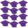 Fun Express Purple Felt Graduation Caps for Graduation - 12 Pieces