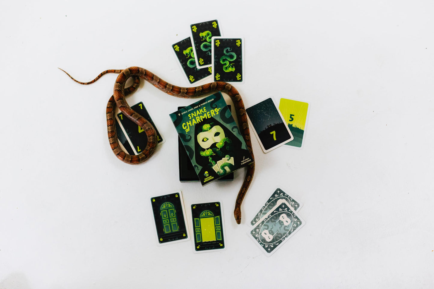 Snake Charmers | Bluffing & Deduction Card Game for Adults, Teens & Kids | Outsmart Rivals & Uncover Hidden Roles | Fun Strategic Party Game