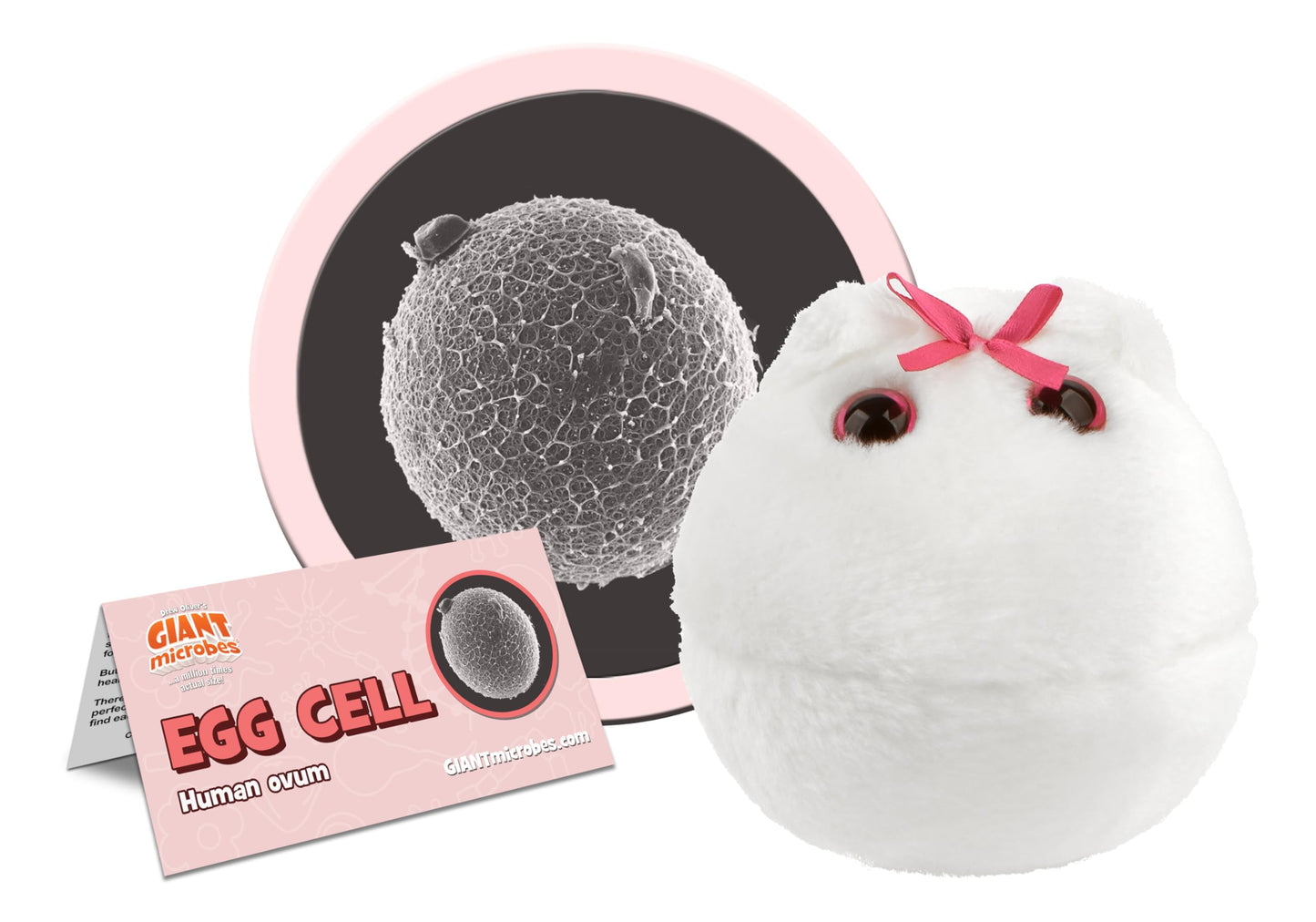 GIANTmicrobes Egg Cell Plush -Learn about the Reproductive System with this Educational Plush, Memorable Gift for Doctors, Students, Scientists