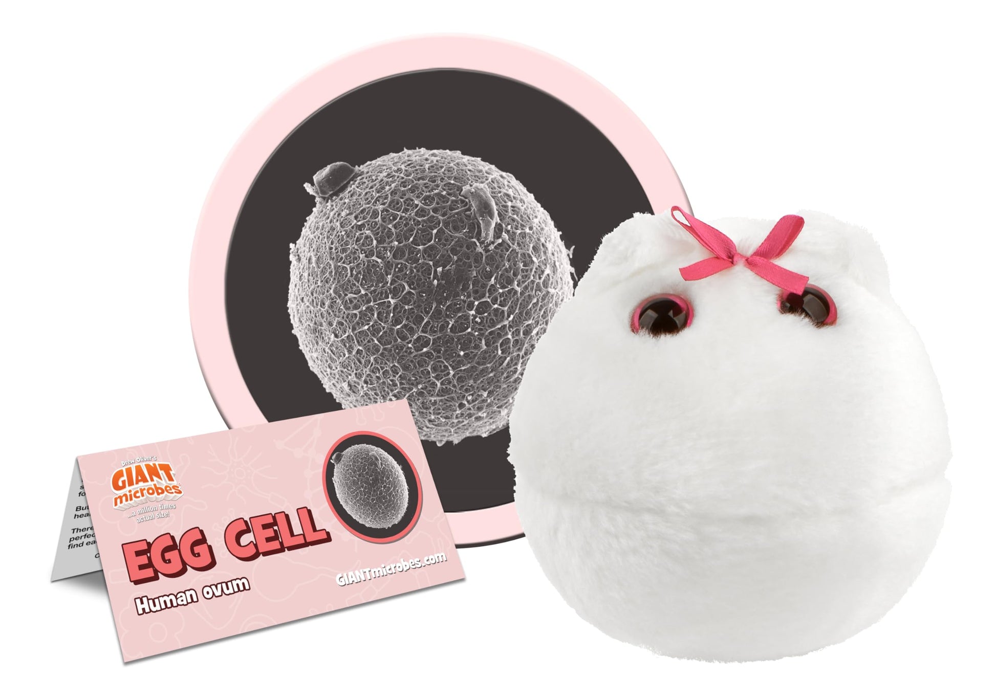 GIANTmicrobes Egg Cell Plush -Learn about the Reproductive System with this Educational Plush, Memorable Gift for Doctors, Students, Scientists
