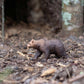 Safari Ltd. Grizzly Bear Figurine - Detailed 4.7" Plastic Model Figure - Fun Educational Play Toy for Boys, Girls & Kids Ages 3+