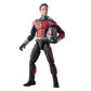 Marvel Studios: The First Ten Years Ant-Man Ant-Man and Yellowjacket