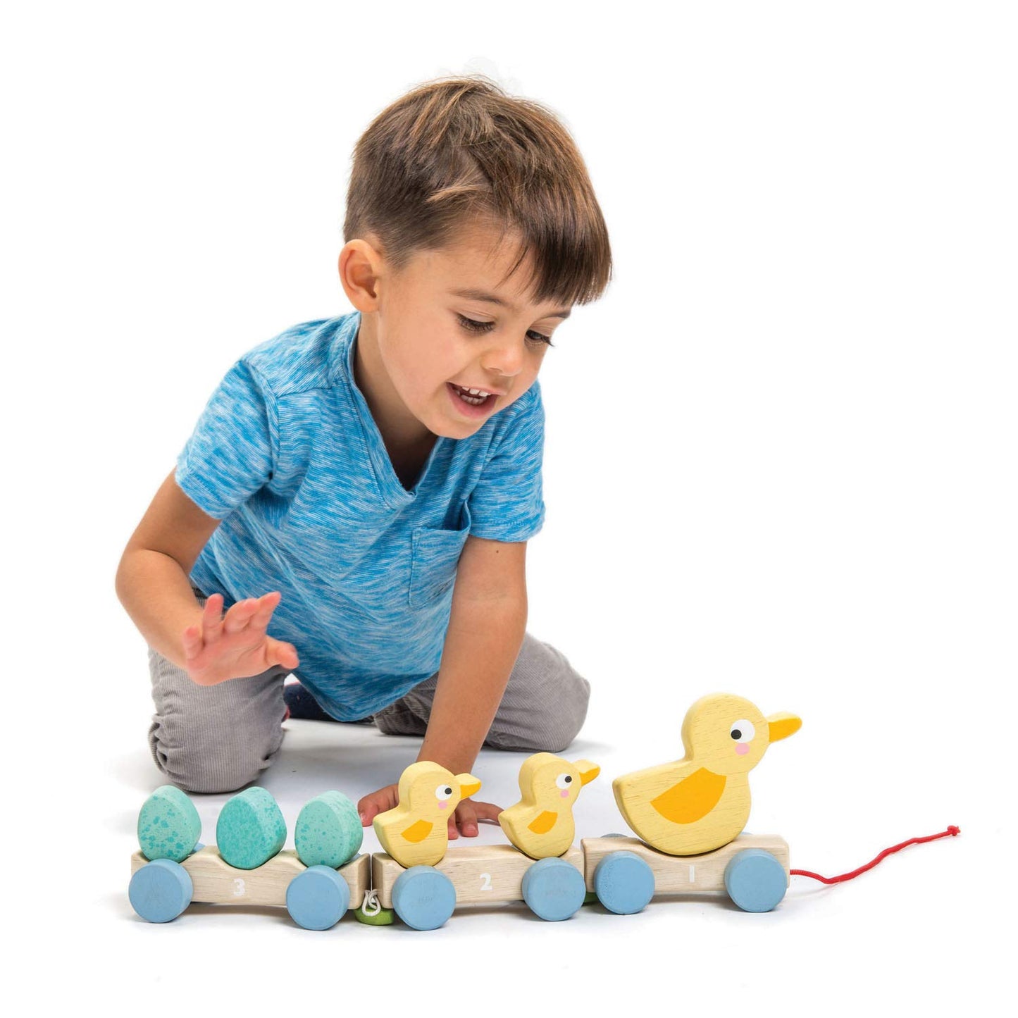 Tender Leaf Toys - Pull Along Ducks - Classic Wooden Pull Along Toy - 9pc Duck Family Set with 1 Mother Duck, 2 Baby Ducks, 3 Eggs and 3 Cars