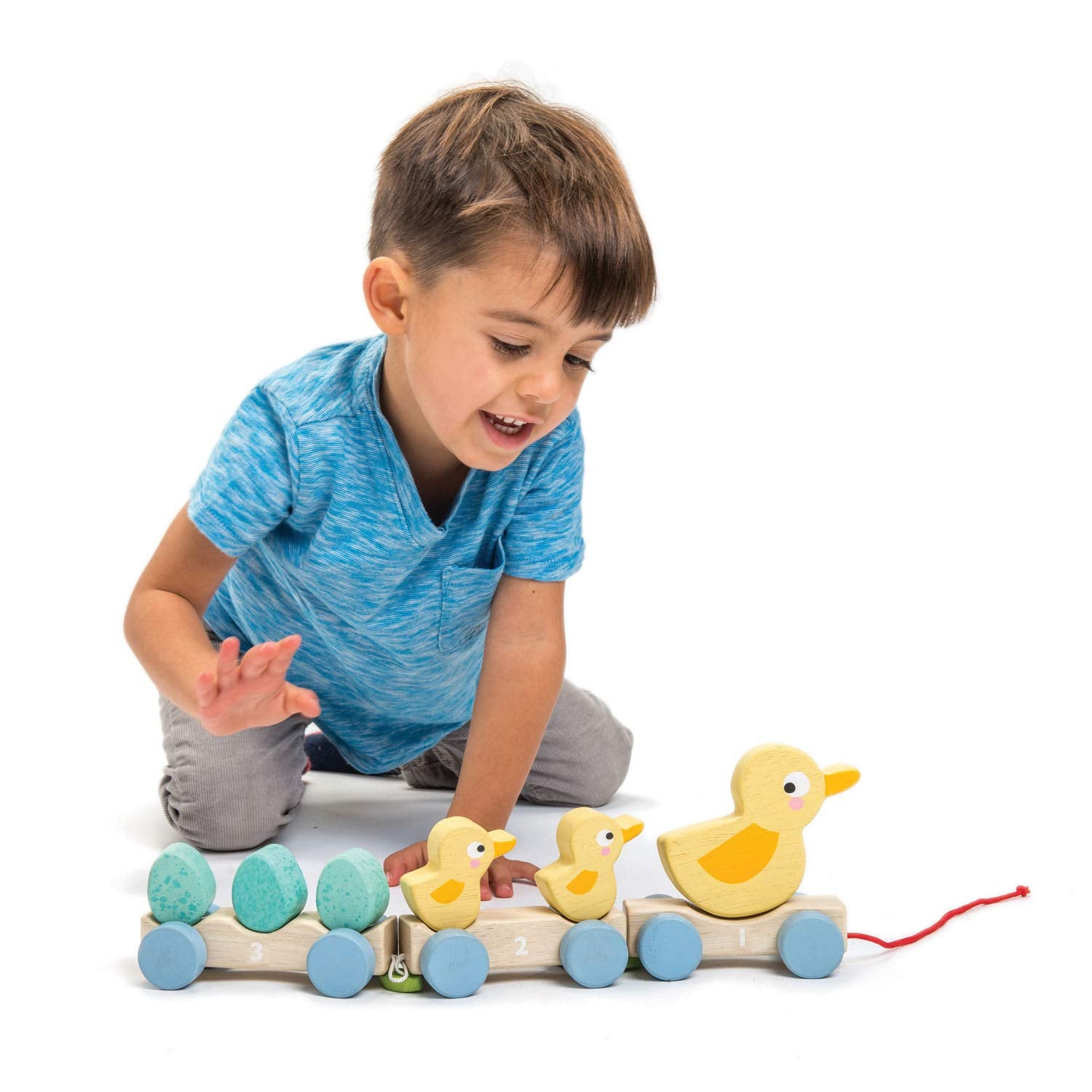 Tender Leaf Toys - Pull Along Ducks - Classic Wooden Pull Along Toy - 9pc Duck Family Set with 1 Mother Duck, 2 Baby Ducks, 3 Eggs and 3 Cars
