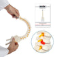 Axis Scientific 15.5" Miniature Spine Model, Vertebrae