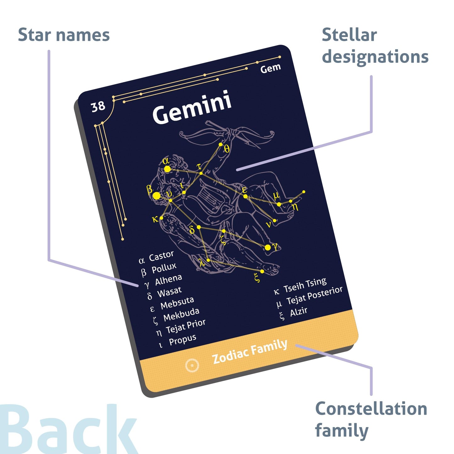 CARDDIA | The 88 Astronomical Constellations Educational Flashcards | Ideal for Astronomy Students and Educators
