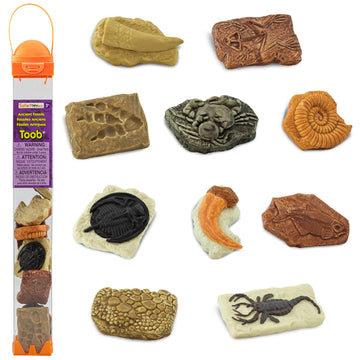 Safari Ltd. Ancient Fossils TOOB - Figurines: Dino Footprint, Giant Crab, Ammonite, Raptor Claw, T-Rex Tooth, Frog Skeleton, Sea Scorpion & More