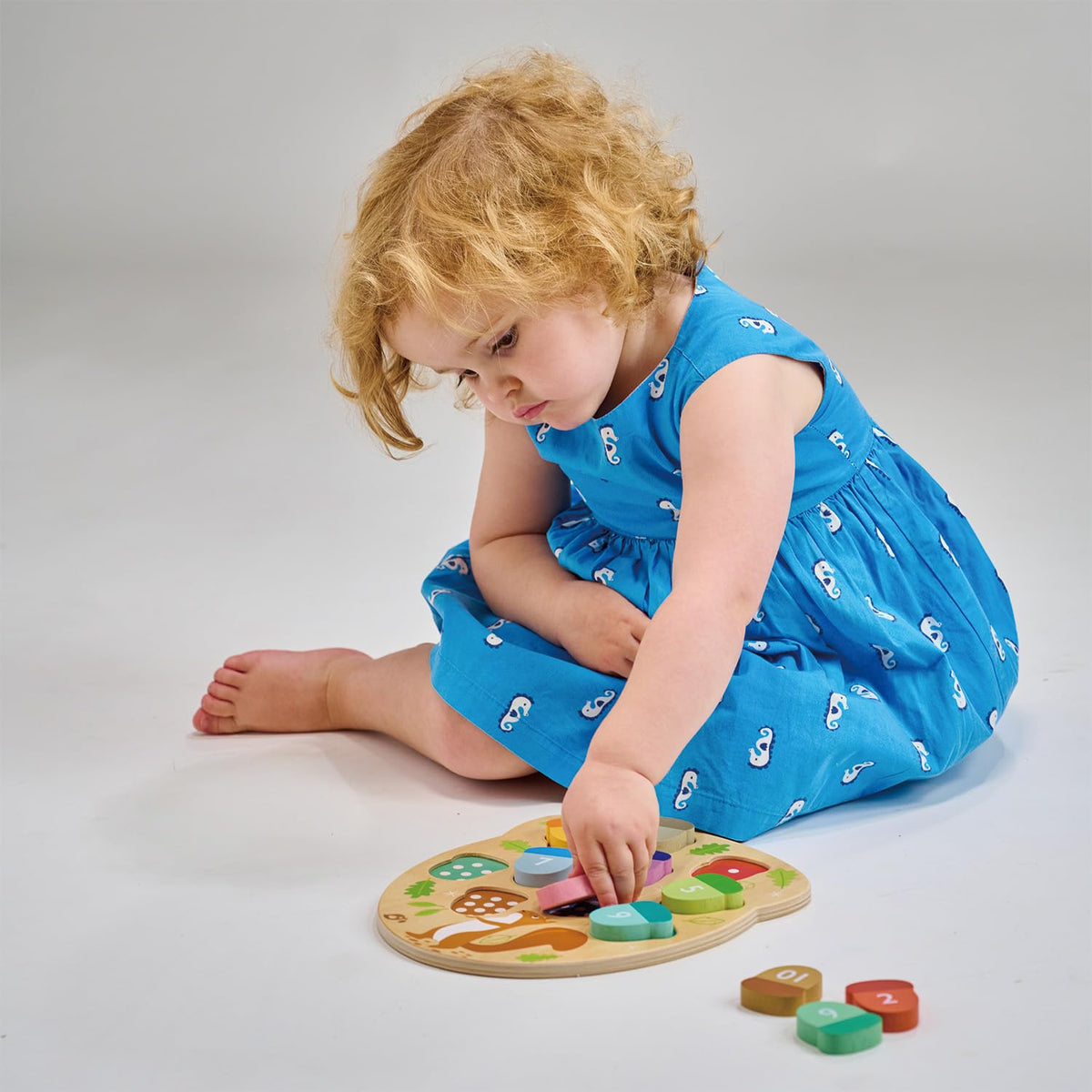 Tender Leaf Toys - How Many Acorns? - Count to 10 Number Wooden Puzzle Game - Counting, Sorting Activity Game for Children, Playroom, Montessori