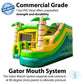TentandTable Modular Inflatable Bounce House with Water Slide, Tropical