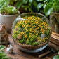200 Pieces Tiny Sunflower for Crafts Dollhouse Miniatures Resin Mini Things Decor for Fairy Garden Micro Landscaping Decoration (Wreath)