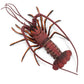 Safari Ltd. Spiny Lobster Figurine - Hand-Painted, Lifelike Model Figure 12.5" - Fun Educational Marine Animal Toy for Boys, Girls & Kids Ages 3+
