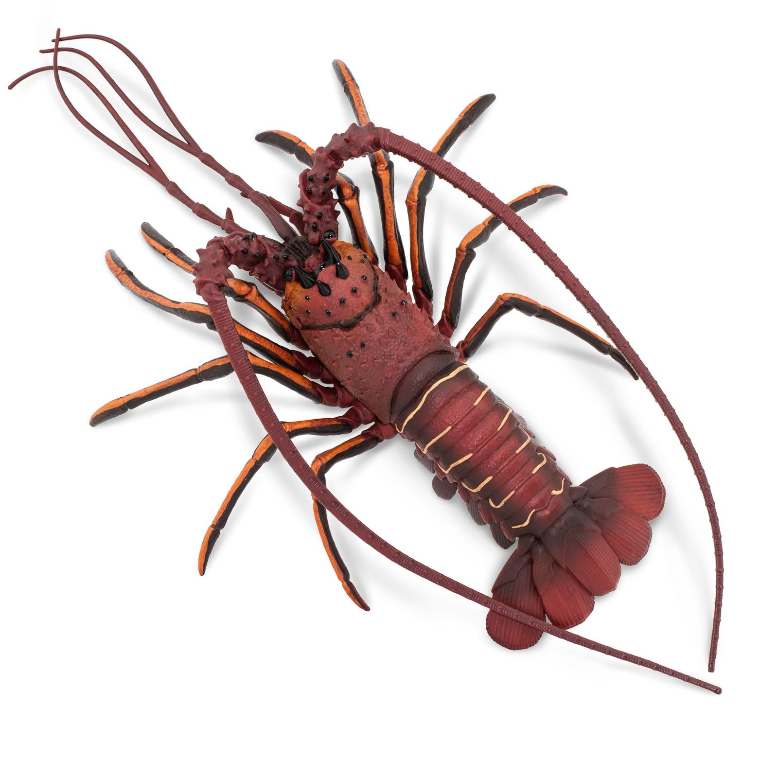 Safari Ltd. Spiny Lobster Figurine - Hand-Painted, Lifelike Model Figure 12.5" - Fun Educational Marine Animal Toy for Boys, Girls & Kids Ages 3+