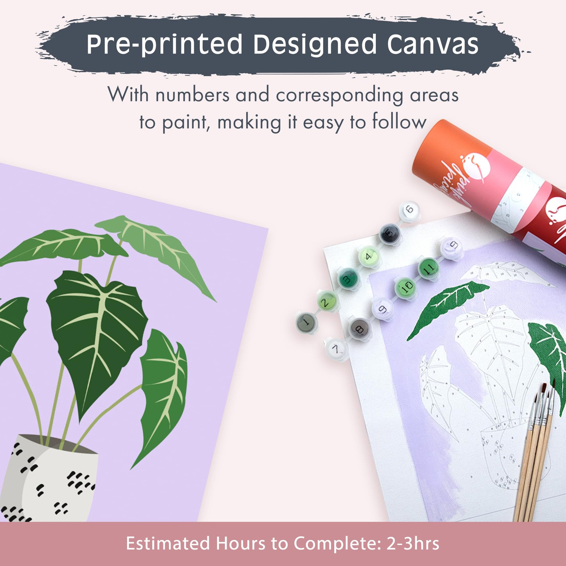 Pink Picasso Kits Mid Century Modern Paint by Number for All Ages | DIY Color by Numbers Craft Kit Acrylic Paint Canvas Beginners Painting Kits as