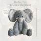 World's Softest Plush Stuffed Animal for Baby, Toddler, Kids, Adults - Adorable Toy Made from Kid-Friendly, Quality Materials - Lushee Elephant, 16"