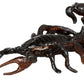Safari Ltd. Venomous Creatures TOOB - 9 Figurines: Toad, Snake, Ray, Komodo Dragon, Tarantula, Centipede, Scorpion, Stone Fish, Cobra - Educational