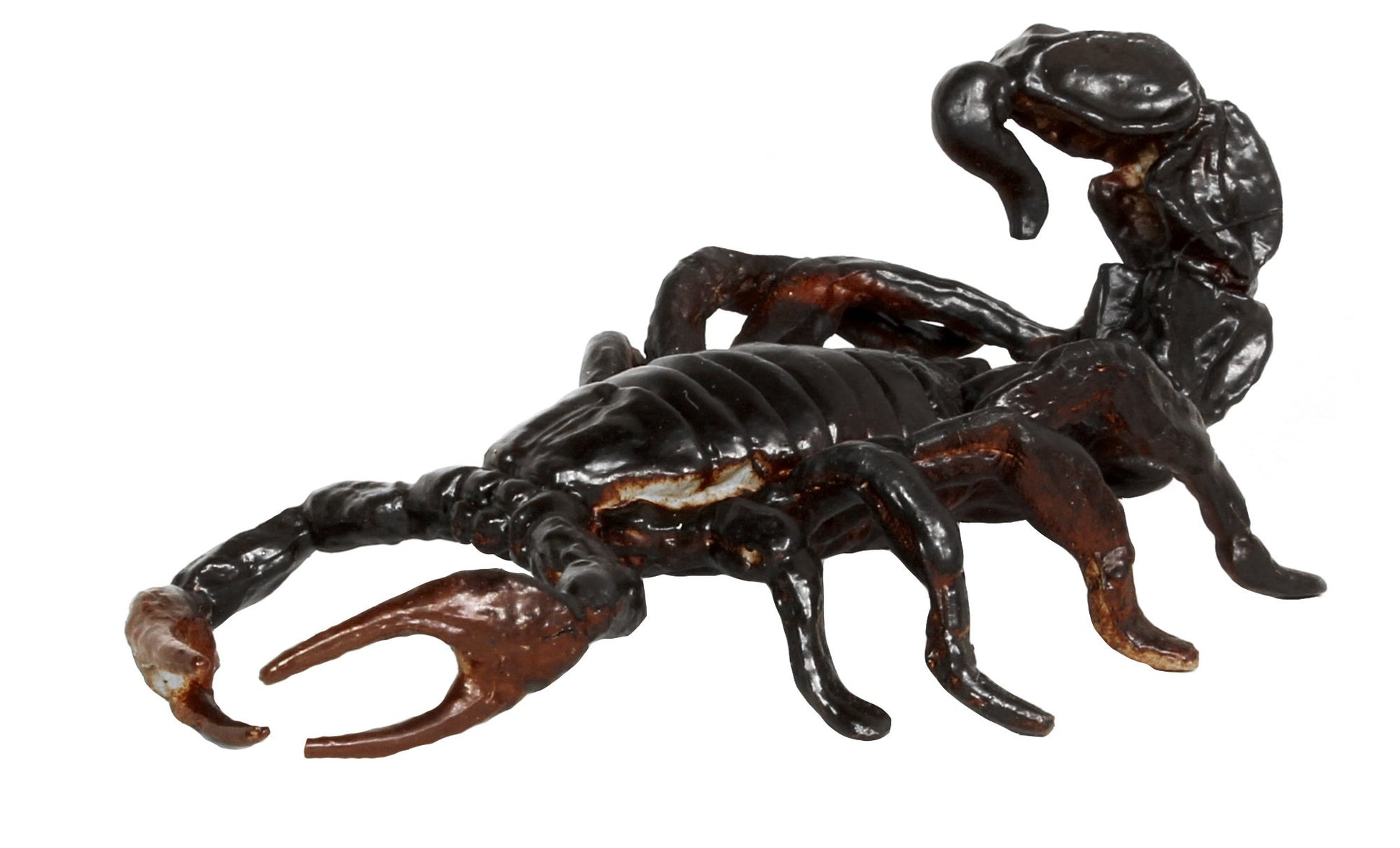 Safari Ltd. Venomous Creatures TOOB - 9 Figurines: Toad, Snake, Ray, Komodo Dragon, Tarantula, Centipede, Scorpion, Stone Fish, Cobra - Educational