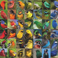 New York Puzzle Company - Cornell Lab Rainbow of Birds - 1000 Piece Jigsaw Puzzle for Adults