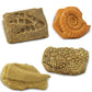 Safari Ltd. Ancient Fossils TOOB - Figurines: Dino Footprint, Giant Crab, Ammonite, Raptor Claw, T-Rex Tooth, Frog Skeleton, Sea Scorpion & More