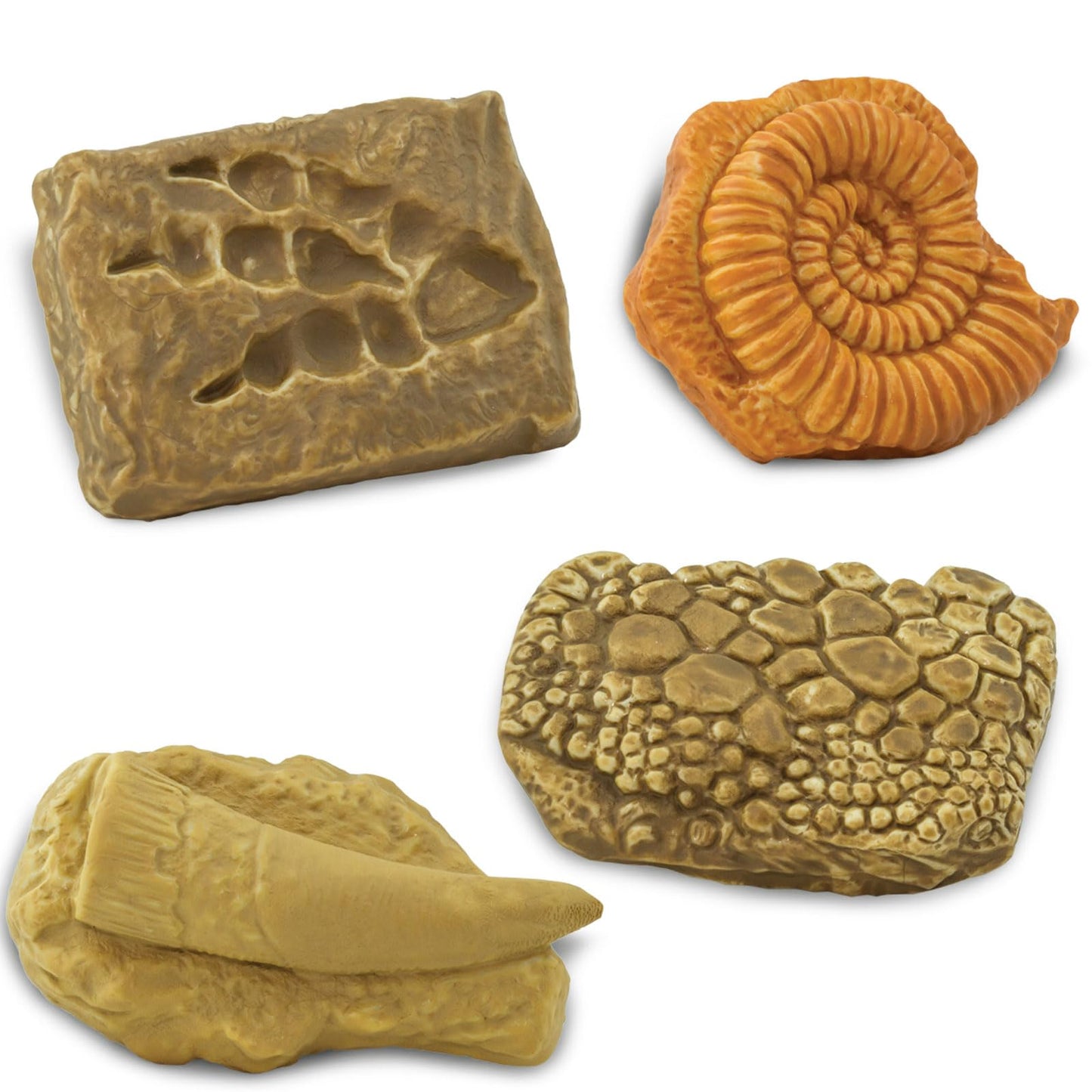 Safari Ltd. Ancient Fossils TOOB - Figurines: Dino Footprint, Giant Crab, Ammonite, Raptor Claw, T-Rex Tooth, Frog Skeleton, Sea Scorpion & More