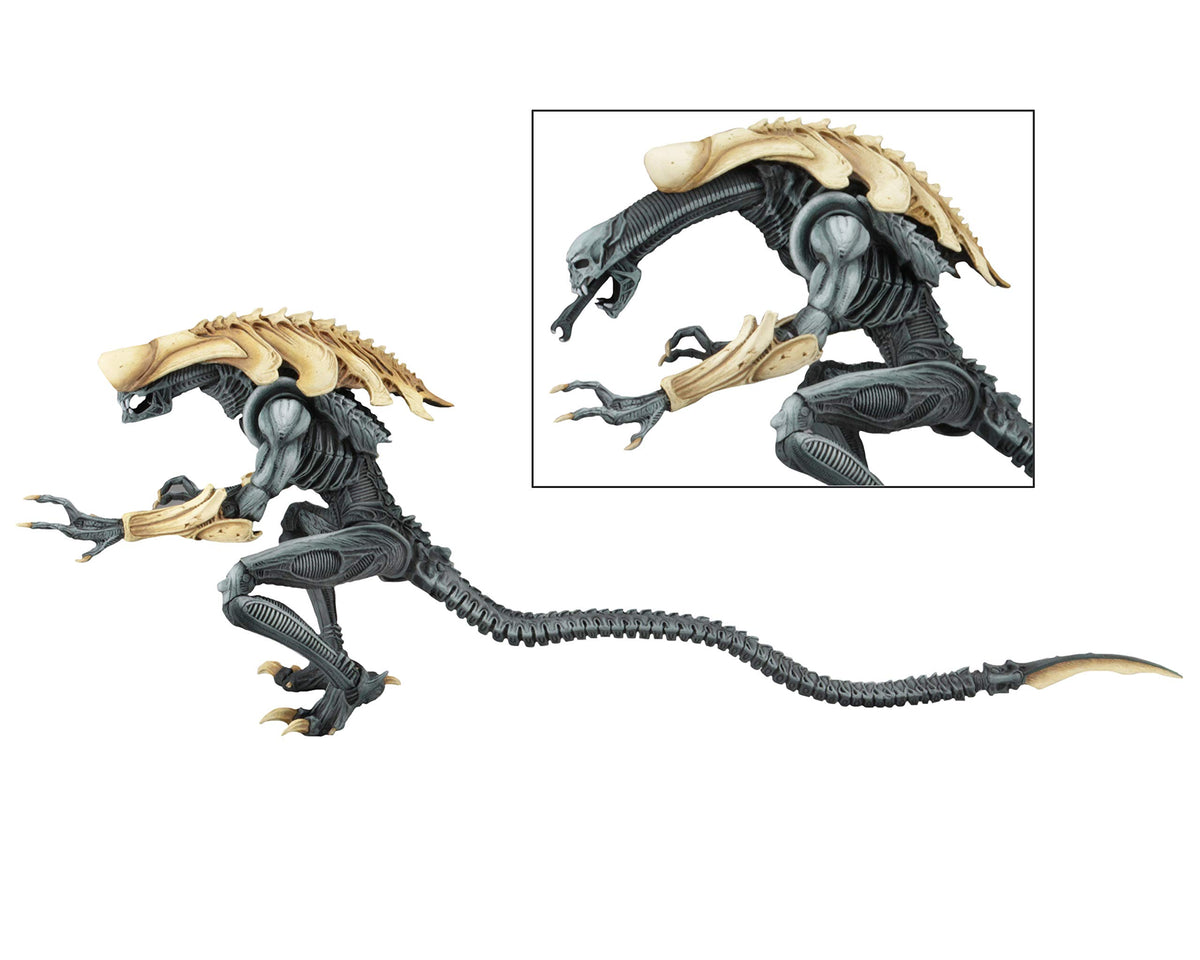 NECA - Aliens vs Predator (Arcade Appearance) - 7" Scale Action Figures - Chrysalis