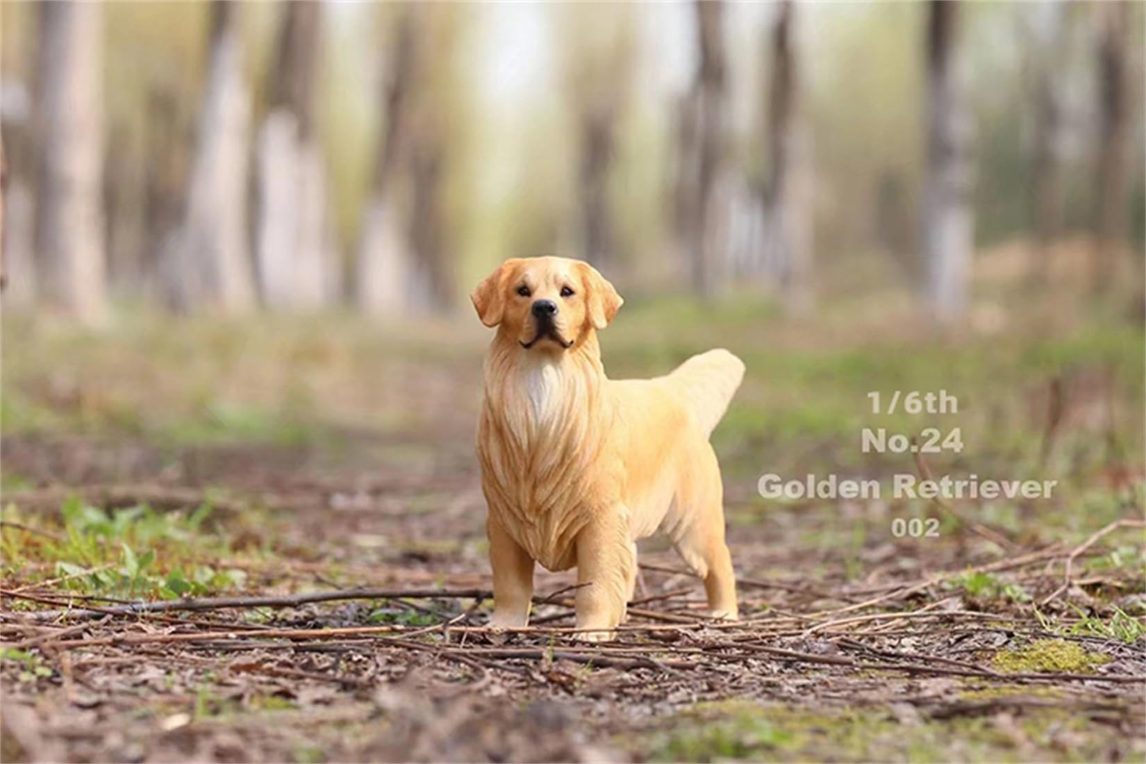 Lana Toys 1:6 Scale Golden Retriever Dog Pet Figure Realistic Animal Model