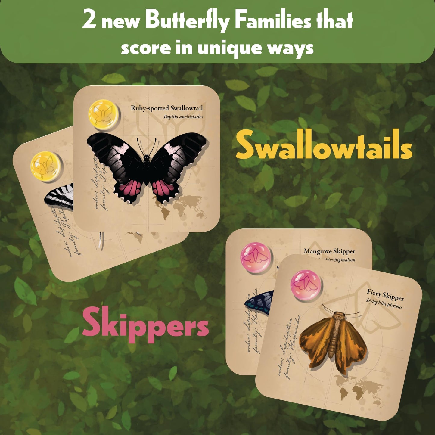 Lovemore Games Jewel Box Fluttering Expedition Expansion - Expansion to Jewel Box that Adds Butterflies and Allows up to 6 Players to Play Together