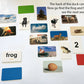 Flash of Brilliance First Word Game One-Syllable Words for Early Readers