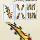 LEQBO 2 Pack Spanish Playing Cards, Baraja Española - 48 Card Deck Mexicana Naipes (1-12 in 4 Suits + 2 Jokers), Traditional Latin American Design