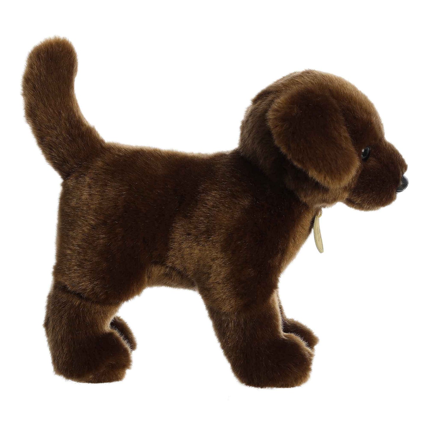 Aurora - Miyoni - 10" Chocolate Labrador