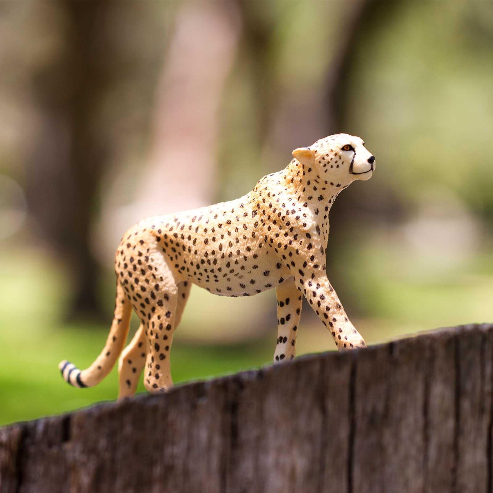 Safari Ltd. Cheetah Toy Figurine - Detailed 8" Plastic Model Figure - Fun Educational Play Toy for Boys, Girls & Kids Ages 3+
