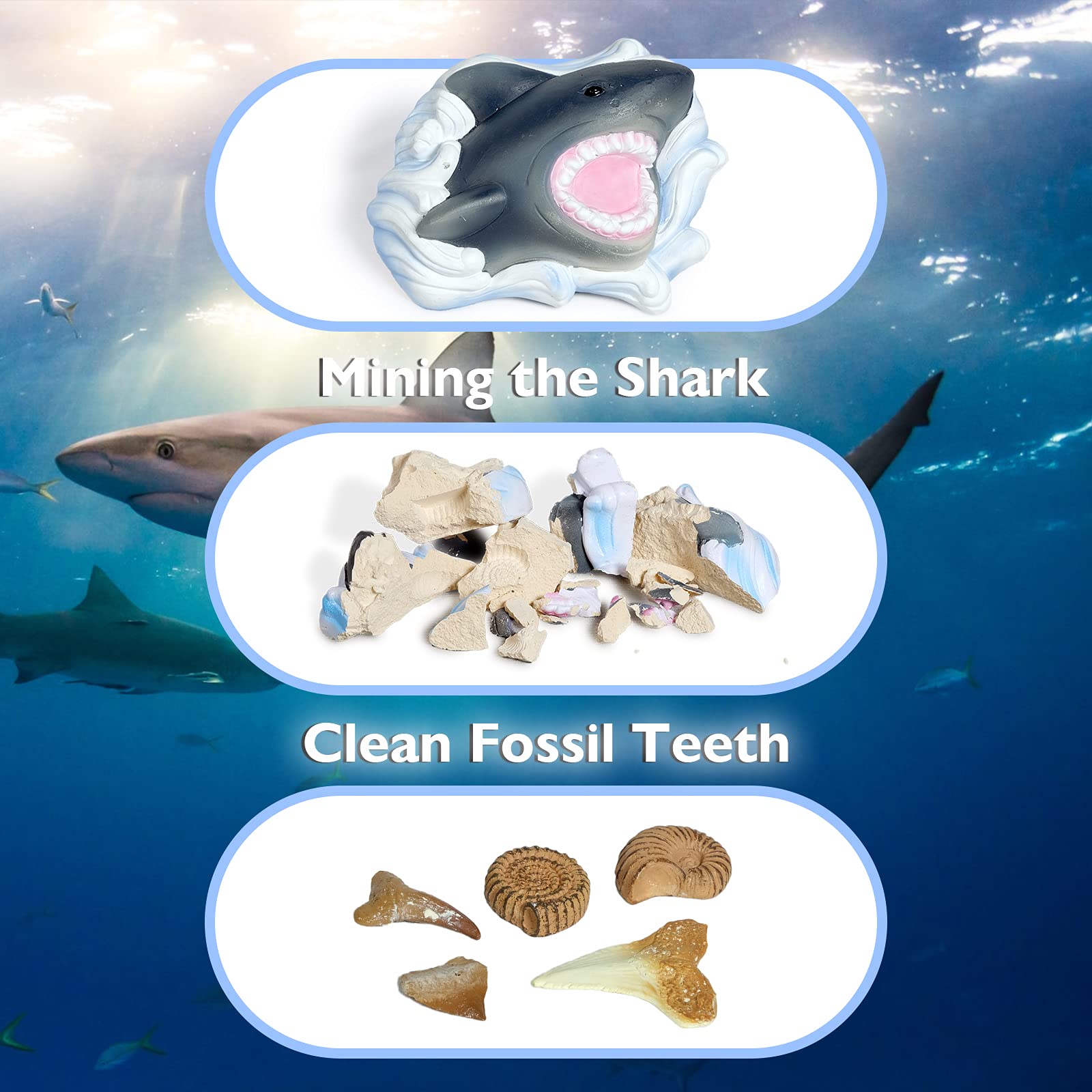 RRIBOUDWAN Shark Tooth Dig Kit, Shark Tooth Excavation Fossil, Shark Science Toy Gift for Kids Age 5+ for Holiday Birthday