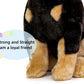 FRANKIEZHOU Realistic Doberman Plush - 12" Lifelike Stuffed Animal, Soft Toy Dog, Gifts for Kids, Baby Gift, Cute Plush, Home Decor, Pet Favorite