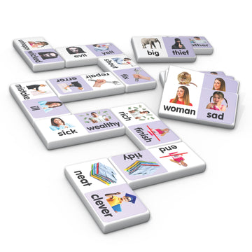 Junior Learning Synonyms Dominoes Langauge Arts