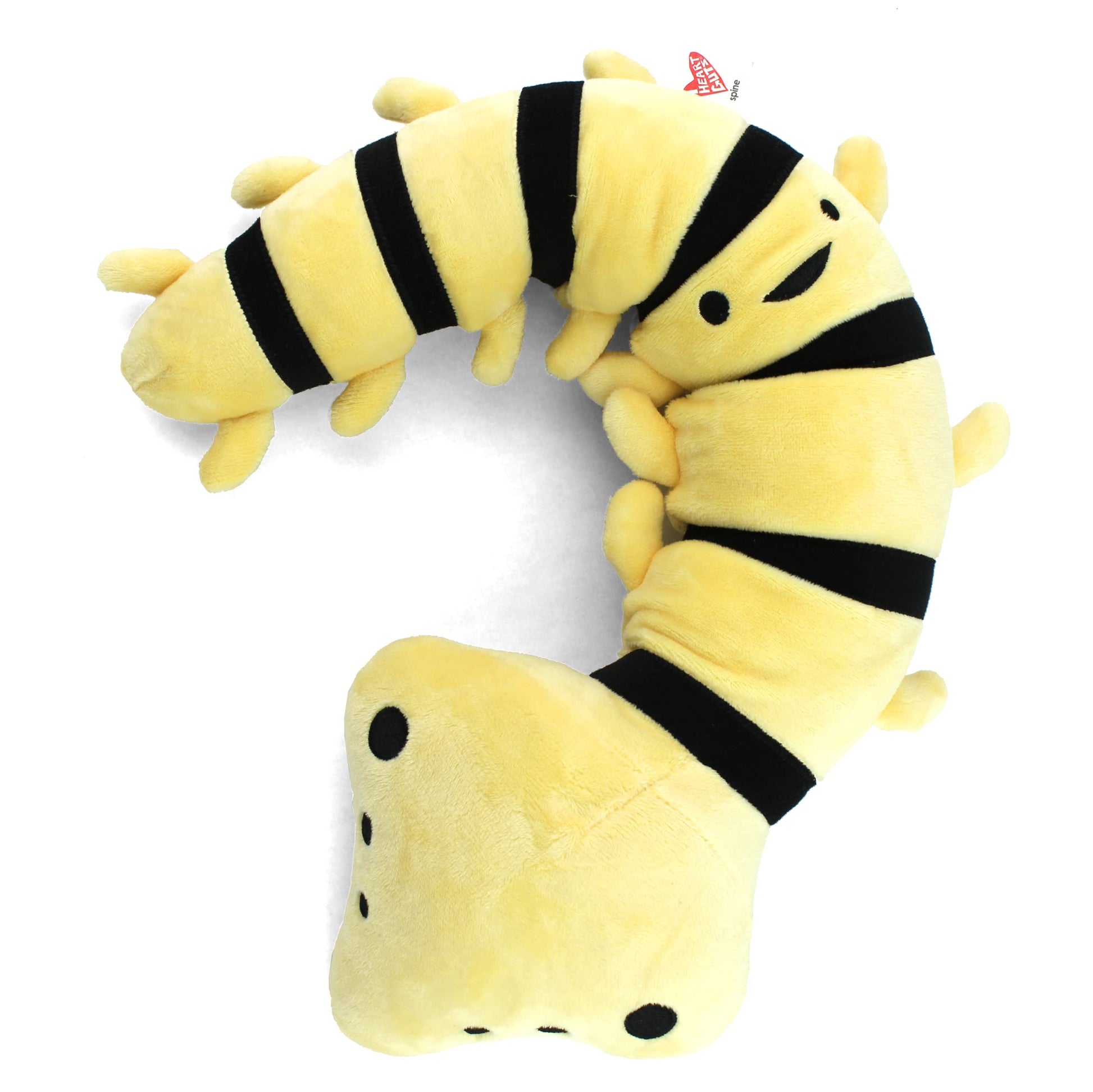 I Heart Guts Flexible Spine Plush - 11" Cute Educational Bone Toy for Scoliosis & Back Pain - Funny Get Well Gift for Nurse Patients & Medical Student