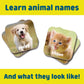 Chuckle & Roar Baby Animals Matching Memory Game for Kids Ages 3+ - Preschool Concentration Board Game for Toddlers, Cute Animal Learning Game